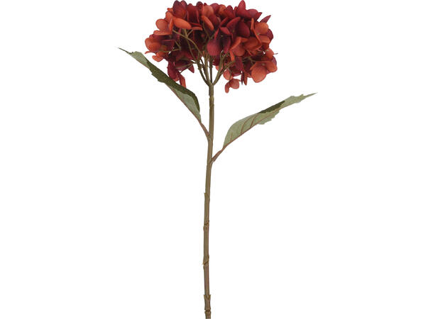 Blomst hortensia m/kvist h:60cm 4ass Minimum 24 assortert 